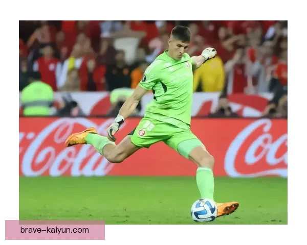 巴西队进攻效率持续提升，射正率与关键传球数据走势清晰